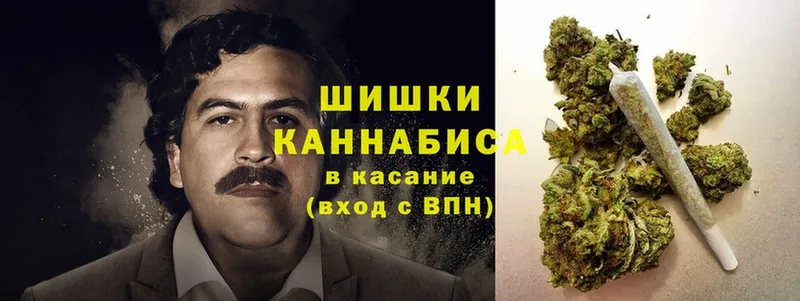 Канабис OG Kush  Нефтегорск 